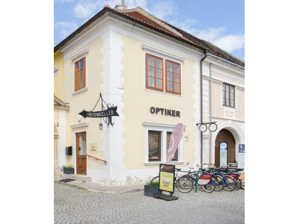 Bild 7 von Ruster Optik Lederer e.U.