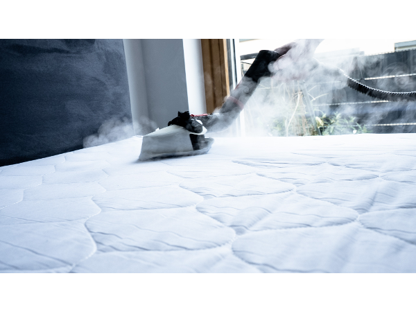 Bild 1 von Profesionelle Möbelreinigung Waschbären