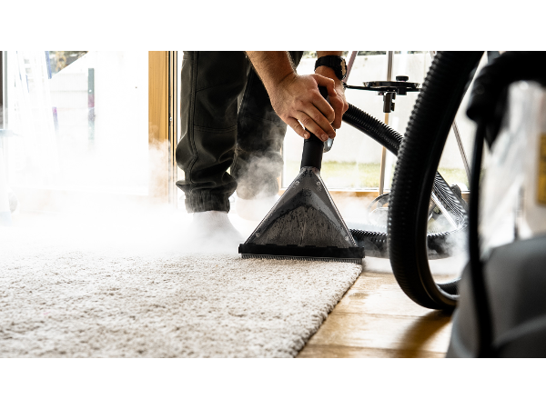 Bild 4 von Profesionelle Möbelreinigung Waschbären