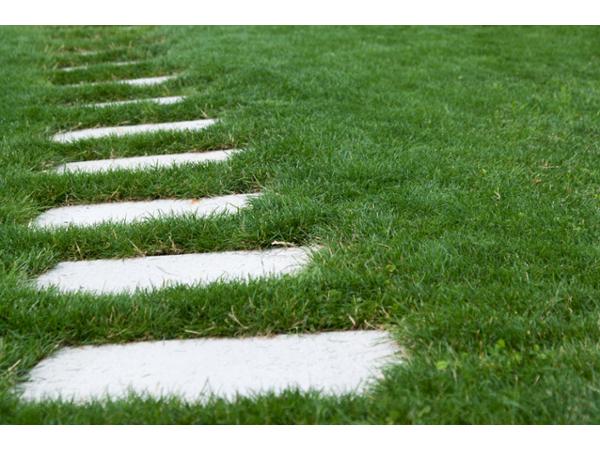 Bild 16 von Hablesreiter Gartengestaltung GmbH