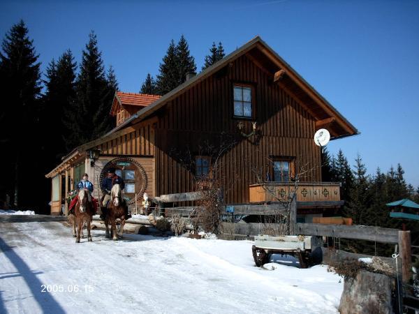 Bild 8 von Reitstall Ponderosa