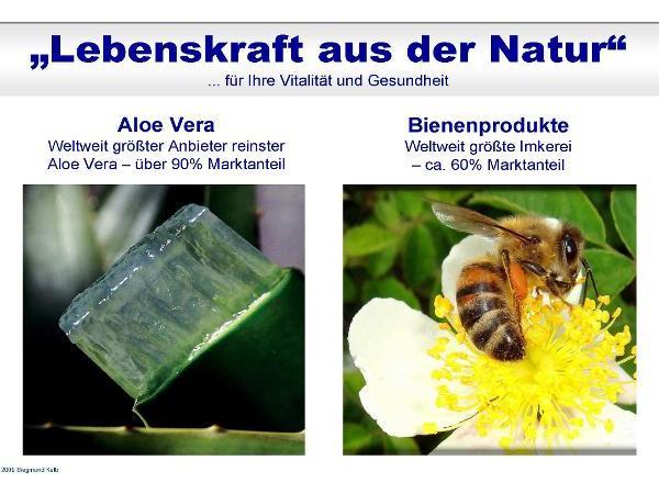 Bild 7 von Kalb Siegmund - Aloe Vera