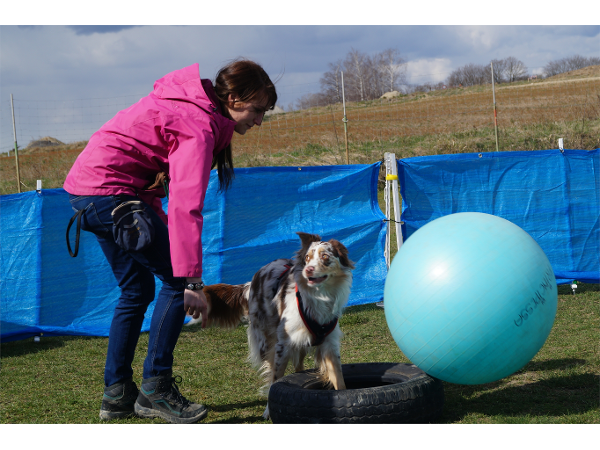 Bild 22 von Hundeschule V.A.S.Z.-Mistelbach