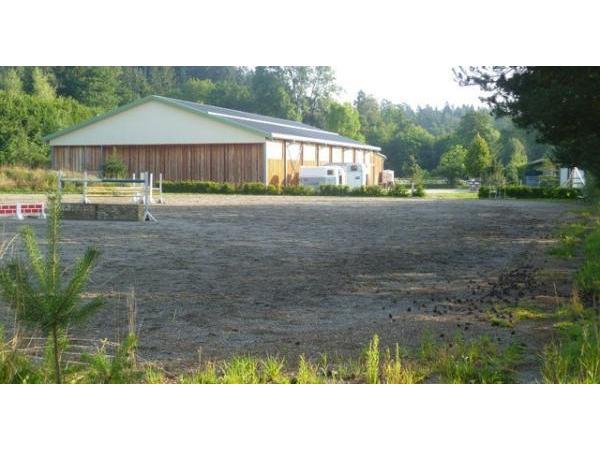 Bild 9 von Reitanlage Krizek