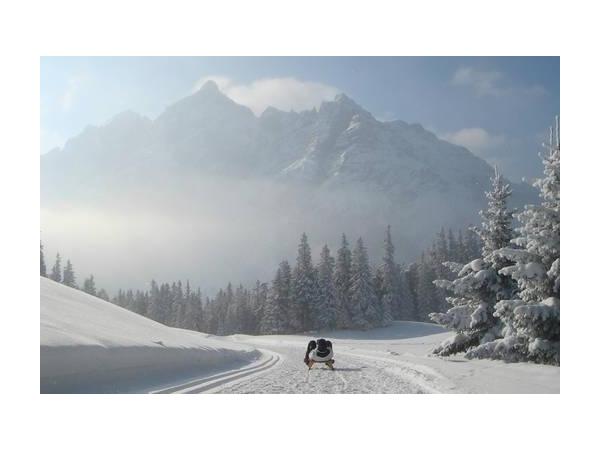 Bild 1 von Sport Stubai KG