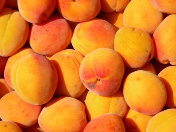 Bild 9 von Fattingerhof - Bio Obstgut