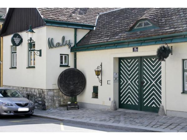 Bild 1 von Heuriger Hans Maly KEG