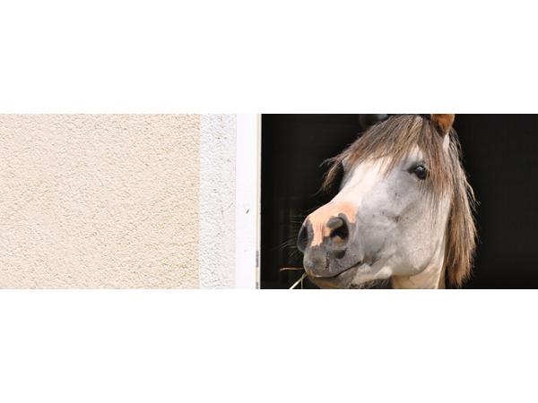 Bild 11 von Mag. Preissegger-Ilgenfritz Martina