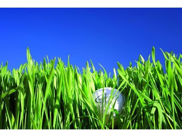 Bild 6 von Golfclub Gut Brandlhof