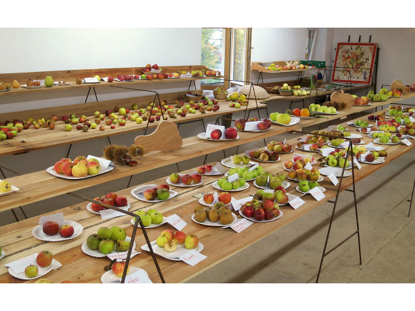 Bild 2 von Baumschule Ernst Junger