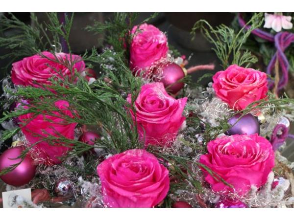 Bild 16 von Gartenbau-Blumen Helmut Friedl