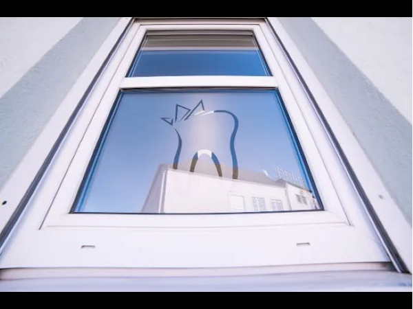 Bild 64 von Zahnarztpraxis Dr. Philipp Kaiser MMSc LLM & Kollegen