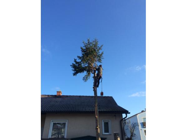 Bild 21 von Dobler's Hausservice