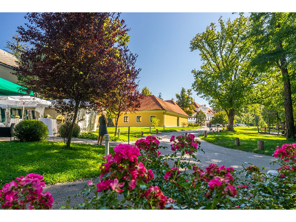 Bild 14 von Hotel Europahaus