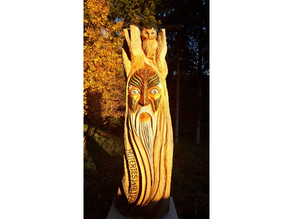 Bild 35 von Häuserl im Wald Seminar- und Landhotel