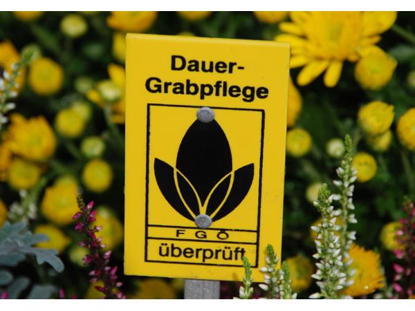 Bild 6 von Schiffinger & Schuster GesmbH