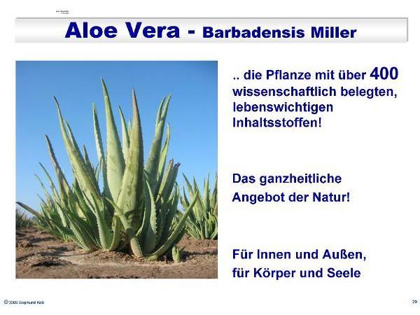 Bild 8 von Kalb Siegmund - Aloe Vera