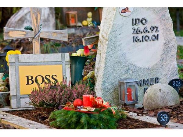 Bild 1 von Anima Tierbestattung - Tierfriedhof Waldesruh - Büro