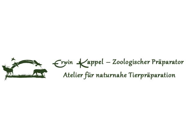 Bild 1 von Zoologischer Präparator Kappel Erwin