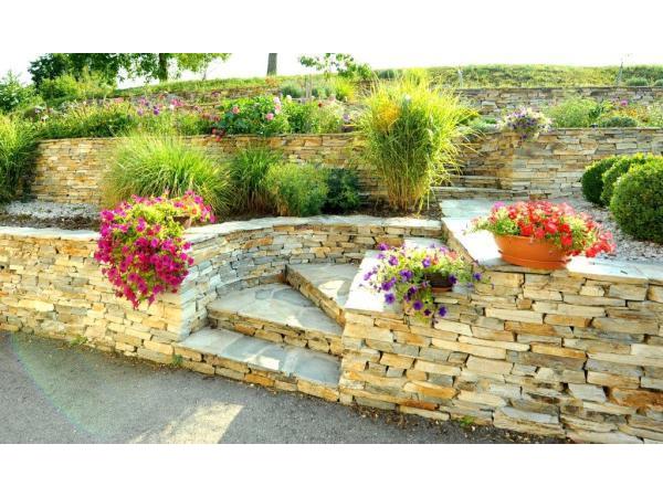 Bild 5 von NEU Gartengestaltung und Biotopbau GmbH