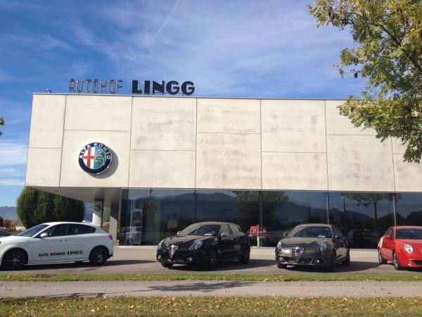 Bild 1 von Autohof Lingg GmbH