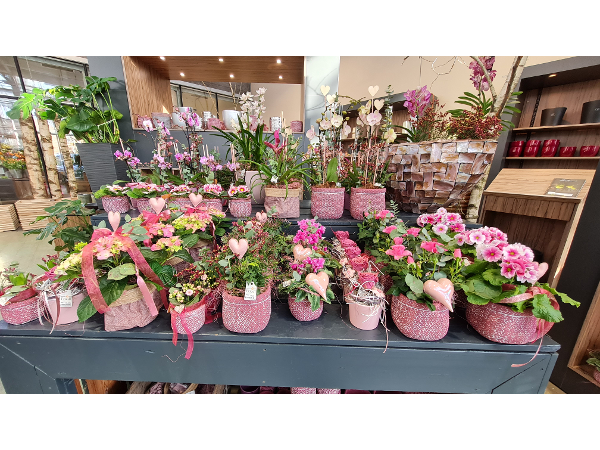 Bild 206 von Gartenbau-Blumen Helmut Friedl