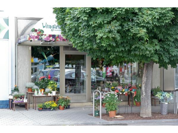 Bild 1 von Blumen Weingartshofer GesmbH