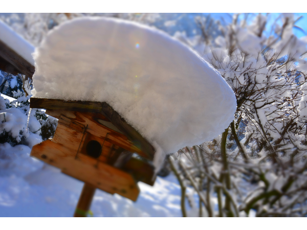 Bild 23 von Haus Tirolerland
