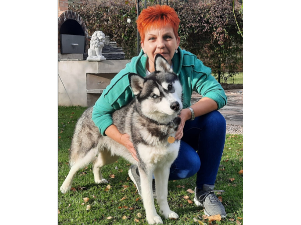 Bild 18 von Amoi Schneid´n
