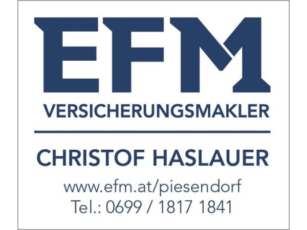Bild 3 von EFM Piesendorf