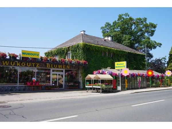 Bild 1 von Blumen Wukoutz