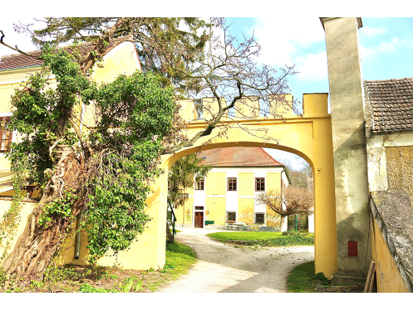 Bild 2 von Reitzentrum Reittherapie Islandpferdehof Gut Sachsengang Novotny Reitanlagenbetriebsges.m.b.H.