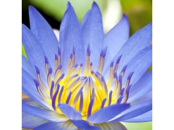 Bild 1 von Stilles Qigong