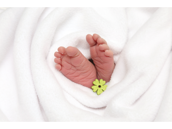 Bild 19 von Therapie Zentrum Korneuburg - Physiotherapie /Logopädie /Osteopathie /Massage /Shiatsu
