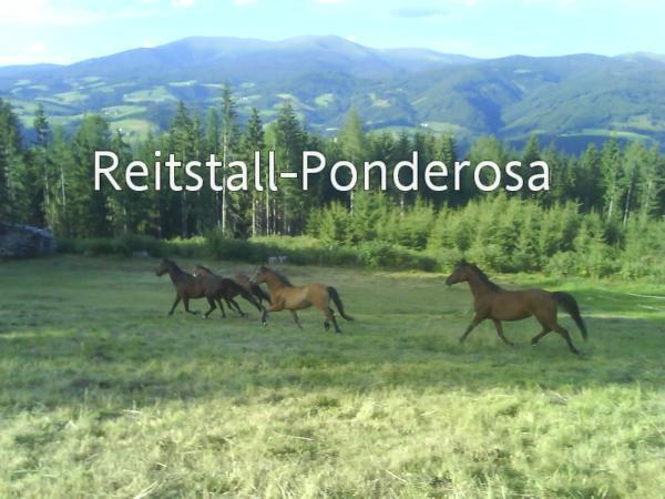 Bild 23 von Reitstall Ponderosa