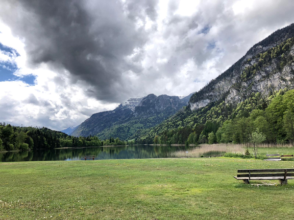 Bild 7 von Eiscafe Ferienpension Haflingerhof