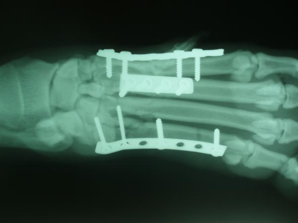 Bild 3 von Dr. med. vet. Rechberger Peter