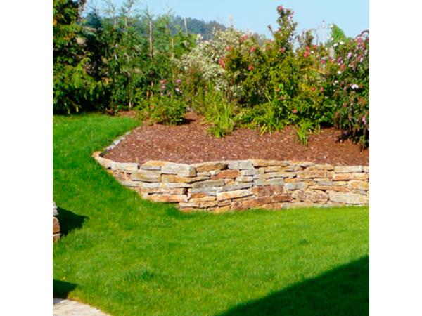 Bild 22 von Dollberger Gartenmanufaktur - Gartengestaltung - Naturpool - Schwimmteich