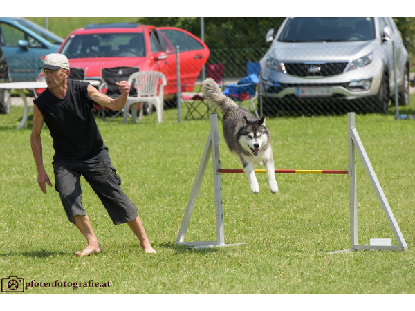 Bild 8 von Hundeschule V.A.S.Z.-Mistelbach