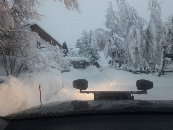 Bild 7 von Tophome, Haus- und Gartenservice