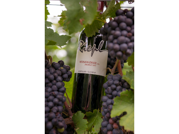 Bild 3 von Weingut Riepl