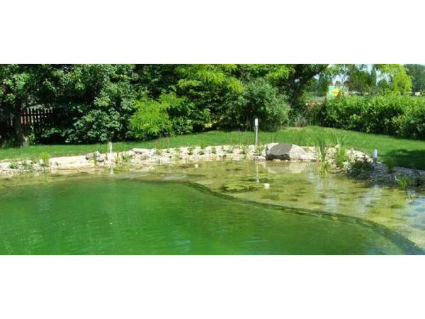 Bild 15 von Schwimmteich & Gartengestaltung Matheis KG