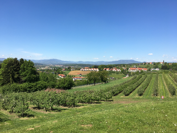 Bild 13 von Maluhof - Hofladen, Festschenke, Erlebnisgarten