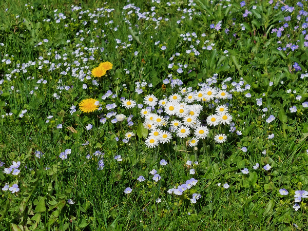 Bild 64 von Haus Christoph