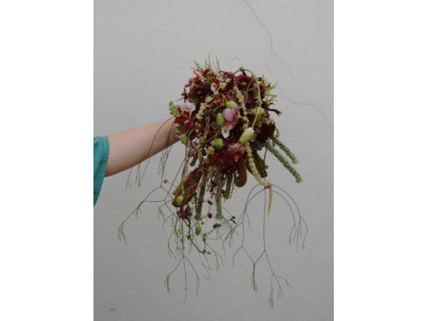Bild 7 von Blüten-Zauber Kaiser