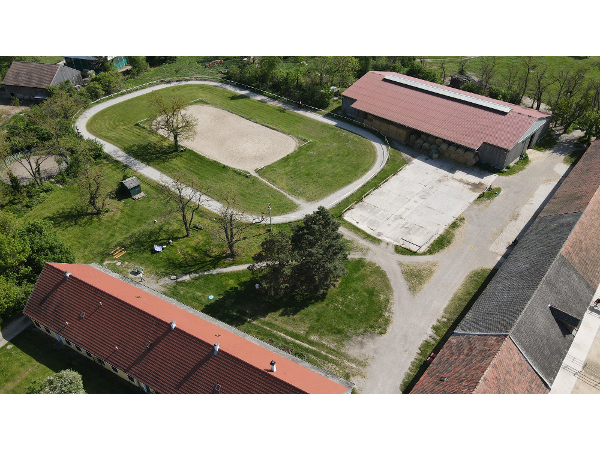 Bild 4 von Reitzentrum Reittherapie Islandpferdehof Gut Sachsengang Novotny Reitanlagenbetriebsges.m.b.H.