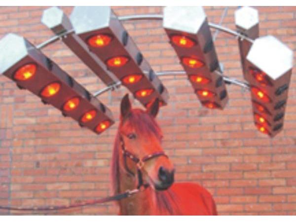 Bild 8 von Pro Equus - Reitplatz, Paddock & Stallbedarf