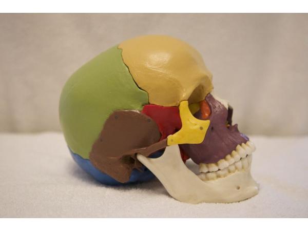 Bild 9 von Ollram Susanne (ehem. Wehrl) -  Dipl. Physiotherapeutin