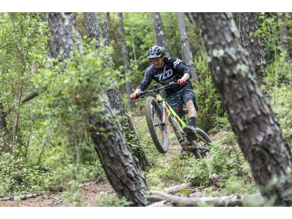 Bild 20 von Friesi's Bikery