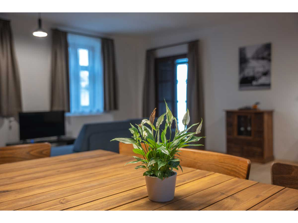 Bild 25 von Tschardakenhof Appartements